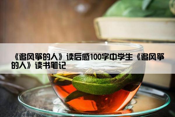 《追风筝的人》读后感100字中学生《追风筝的人》读书笔记