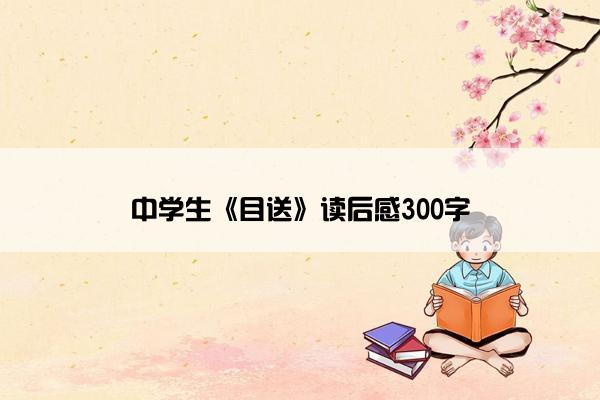 中学生《目送》读后感300字