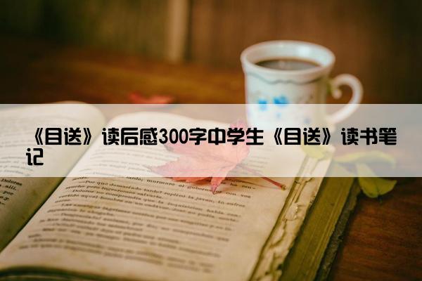 《目送》读后感300字中学生《目送》读书笔记