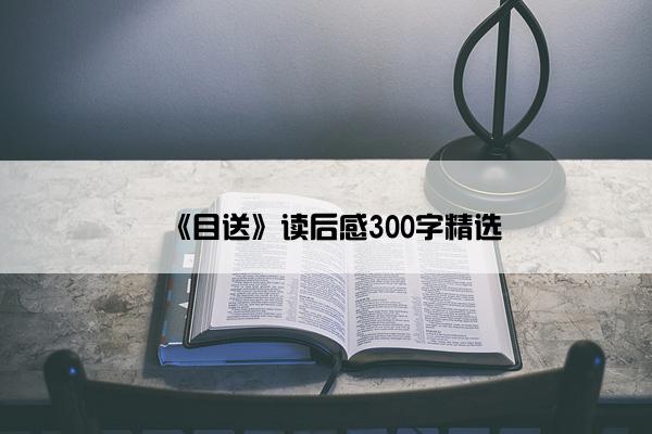 《目送》读后感300字精选