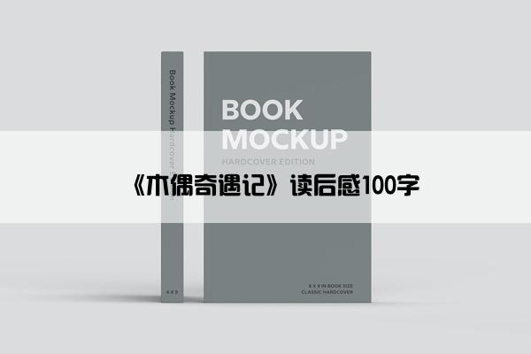 《木偶奇遇记》读后感100字
