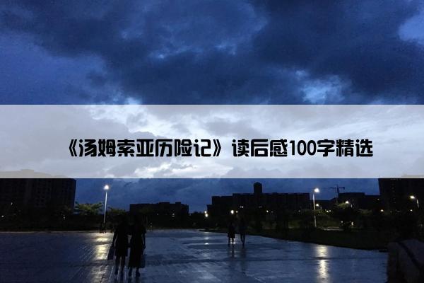 《汤姆索亚历险记》读后感100字精选