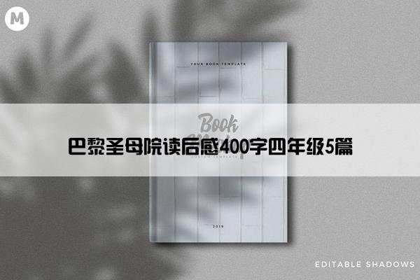 巴黎圣母院读后感400字四年级5篇
