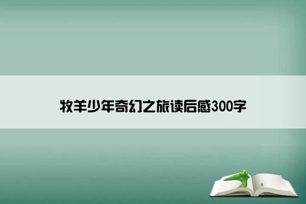 牧羊少年奇幻之旅读后感300字
