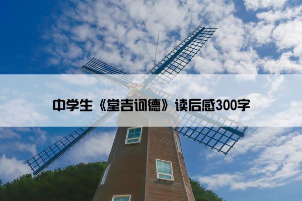 中学生《堂吉诃德》读后感300字