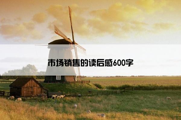 市场销售的读后感600字