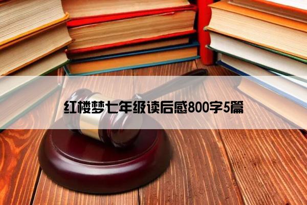红楼梦七年级读后感800字5篇