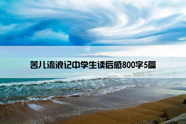 苦儿流浪记中学生读后感800字5篇
