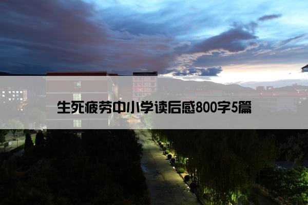 生死疲劳中小学读后感800字5篇