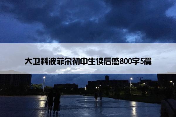 大卫科波菲尔初中生读后感800字5篇