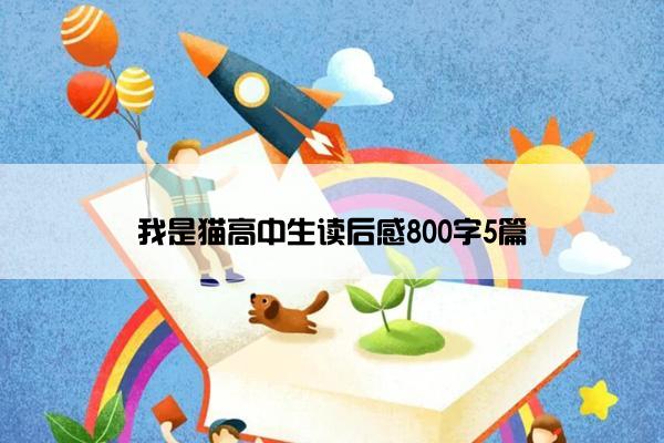 我是猫高中生读后感800字5篇