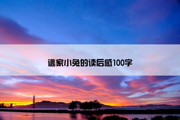 逃家小兔的读后感100字