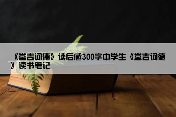 《堂吉诃德》读后感300字中学生《堂吉诃德》读书笔记