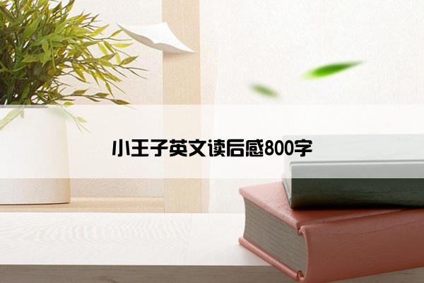 小王子英文读后感800字
