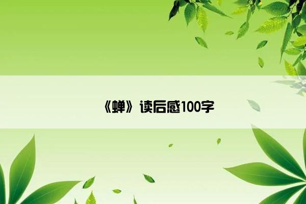 《蝉》读后感100字