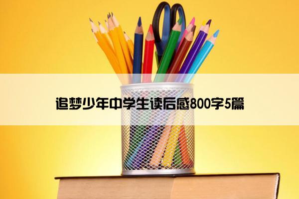 追梦少年中学生读后感800字5篇