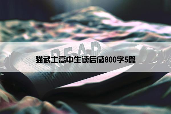 猫武士高中生读后感800字5篇