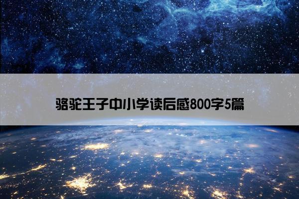 骆驼王子中小学读后感800字5篇