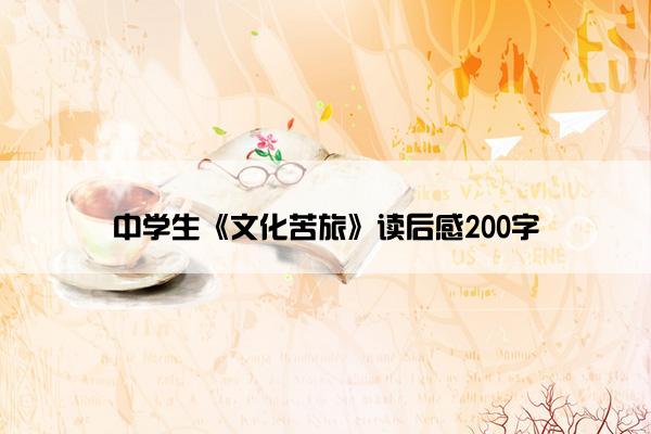 中学生《文化苦旅》读后感200字