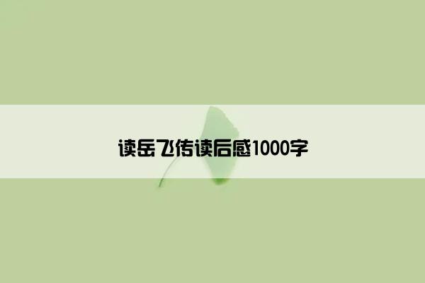 读岳飞传读后感1000字