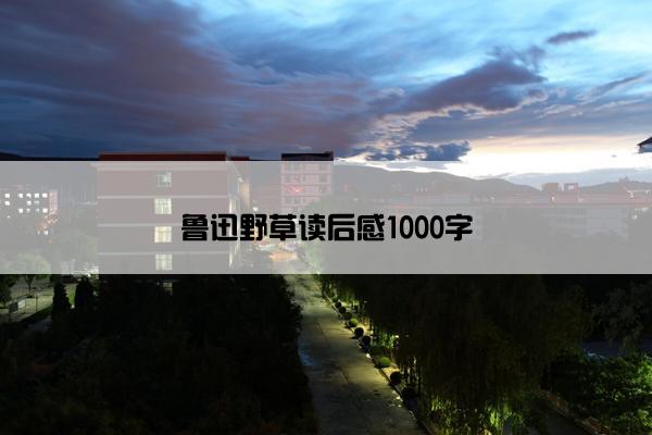 鲁迅野草读后感1000字