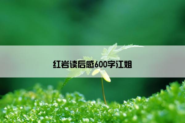 红岩读后感600字江姐