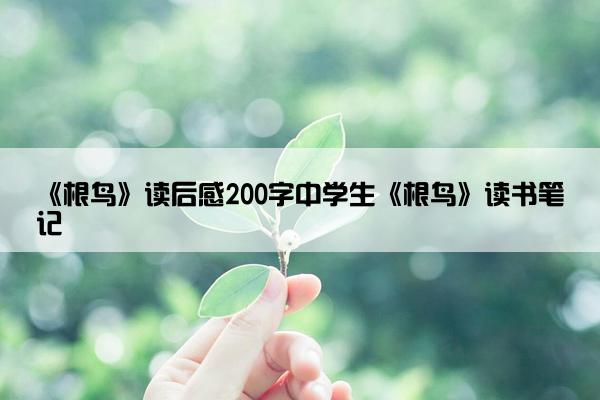 《根鸟》读后感200字中学生《根鸟》读书笔记