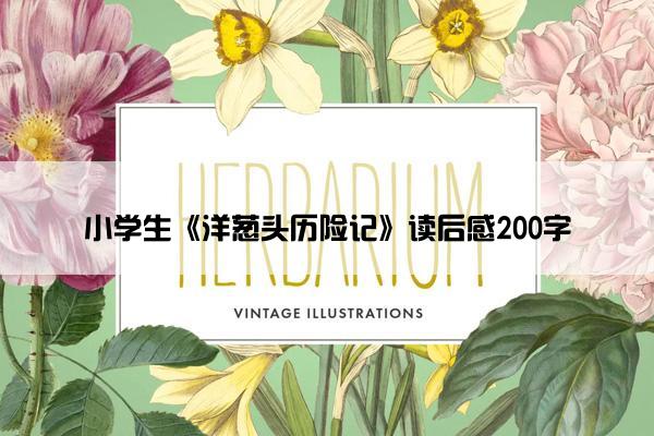 小学生《洋葱头历险记》读后感200字