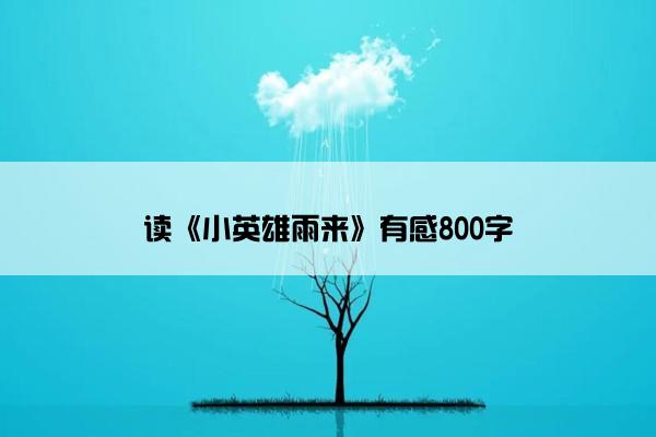 读《小英雄雨来》有感800字