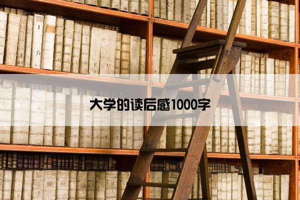 大学的读后感1000字