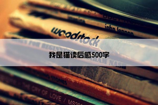 我是猫读后感500字