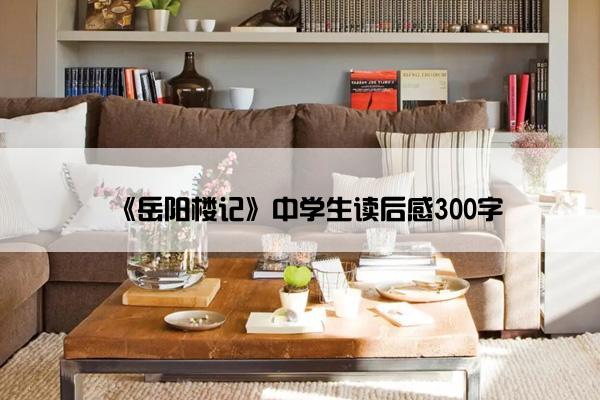 《岳阳楼记》中学生读后感300字