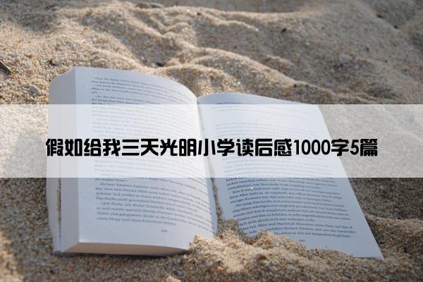 假如给我三天光明小学读后感1000字5篇