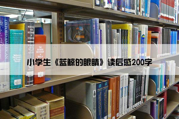 小学生《蓝鲸的眼睛》读后感200字