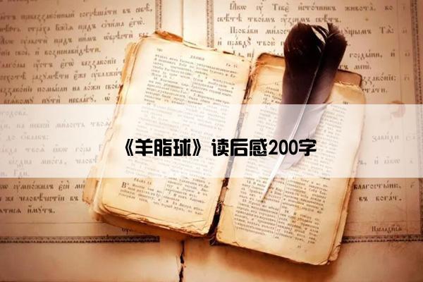 《羊脂球》读后感200字