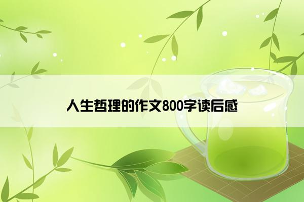人生哲理的作文800字读后感