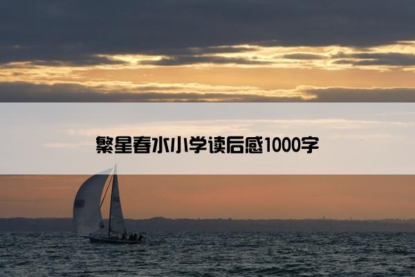 繁星春水小学读后感1000字