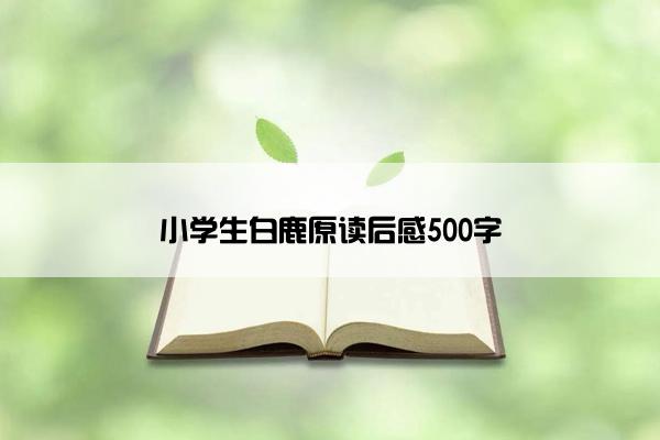 小学生白鹿原读后感500字