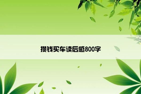 攒钱买车读后感800字