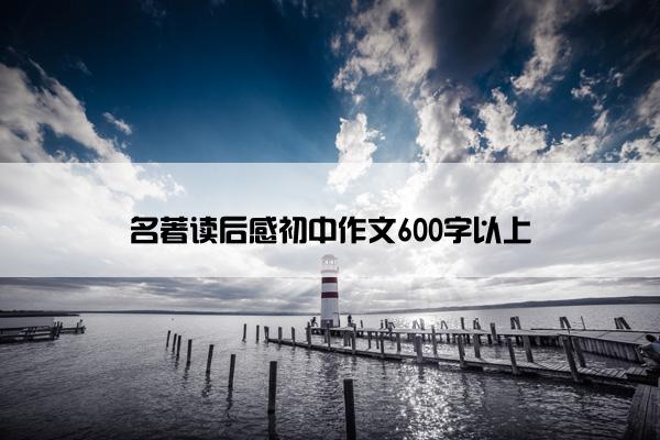 名著读后感初中作文600字以上