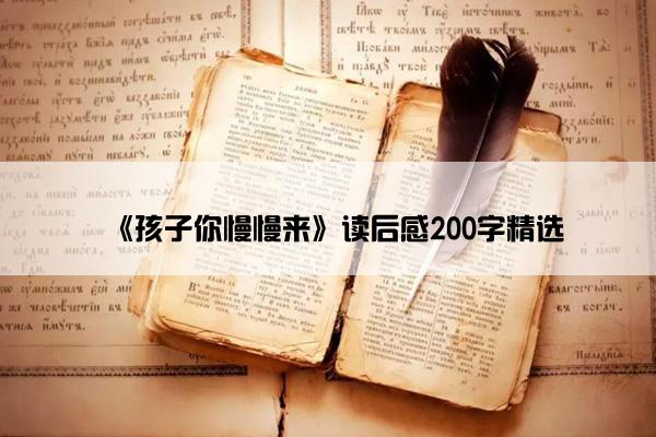 《孩子你慢慢来》读后感200字精选