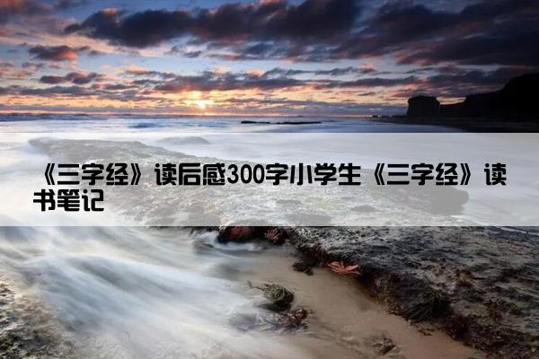 《三字经》读后感300字小学生《三字经》读书笔记