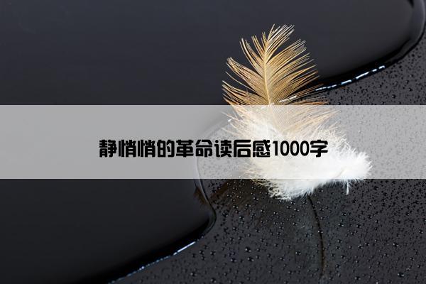 静悄悄的革命读后感1000字