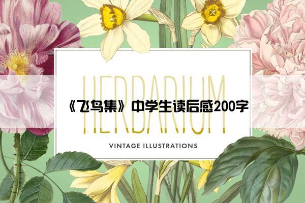 《飞鸟集》中学生读后感200字