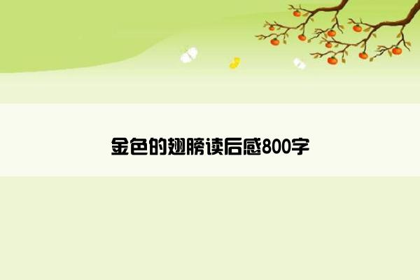 金色的翅膀读后感800字