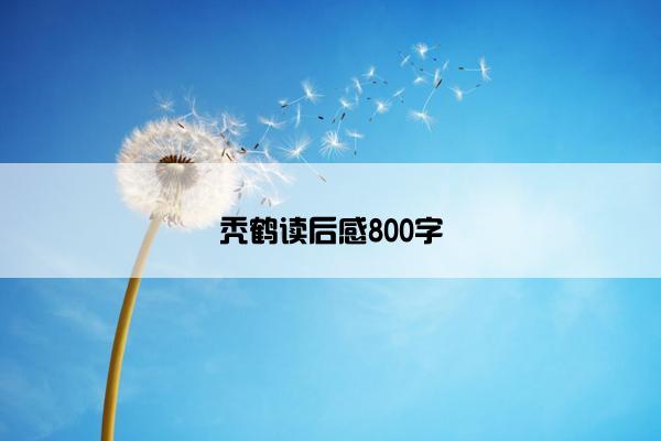 秃鹤读后感800字