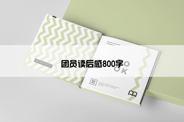 团员读后感800字