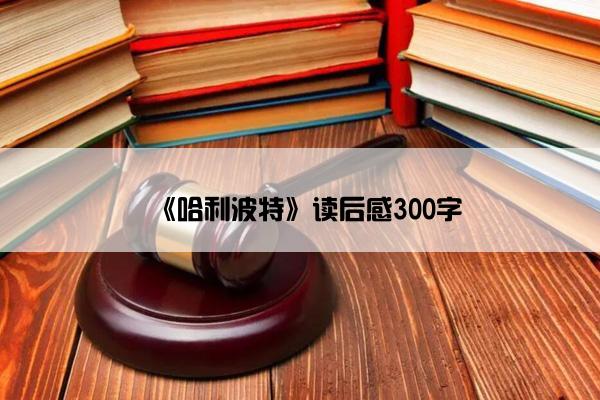 《哈利波特》读后感300字