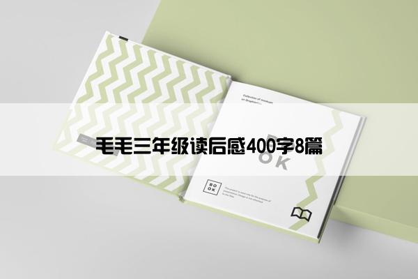 毛毛三年级读后感400字8篇