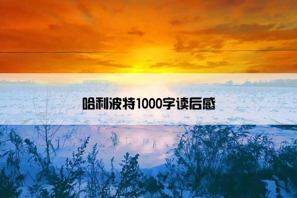 哈利波特1000字读后感